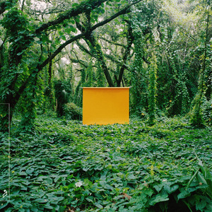 非洲裸体男人的JJ
